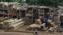 A timber market in Yaoundé