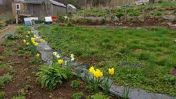 A small farm near the Scottish town of Crief 