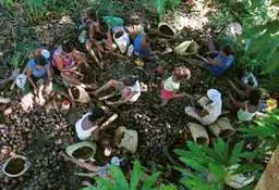 Women gather together to break up the Babacu palm nuts they have collected (Photo: JcPietro, Creative Commons via Wikimedia) 