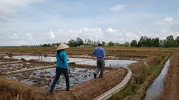 This project was designed improve adaptive capacity of rice production systems in the Mekong Delta in Vietnam (Photo: V. Meadu, CCAFS, Creative Commons via Flickr)