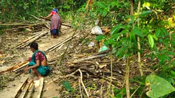 Indigenous women in Bangladesh's Lawachara National Park collecting wood for building (Photo: Fabian Lambeck, Creative Commons via Wikipedia)