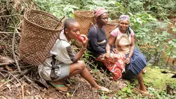 Baka women collecting non-timber forest products in Nomedjoh, Cameroon (Photo: Indra Van Gisbergen)