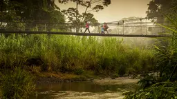 This bridge crossing the Yorkin river in the Sixaola Basin is used daily by local communities, including children on their way to school in the early morning. (Photo: Paul Aragón,©IUCN)