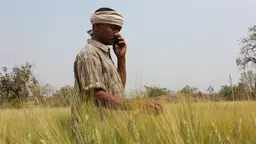 This farmer in India's Maharashtra state gets weather alerts, advisories about pests and market information via his mobile phone (Photo: Borlaug Institute for South Asia, Creative Commons via Flickr)
