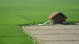 Pump irrigation on a farm in Cooch Behar, in the Indian state of West Bengal (Photo: ICIMOD Kathmandu, Creative Commons via Flickr)