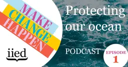 Podcast cover image