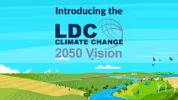 Introduction screen from video, showing the LDC 2050 Vision logo