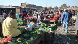 Busy market scene, showing traders with their vegetables