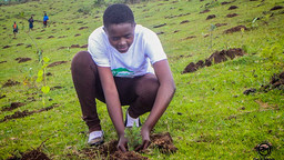 A young man on a hillside, planting a tree.