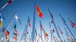 Many flags