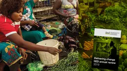 Fresh vegetables on display for sale