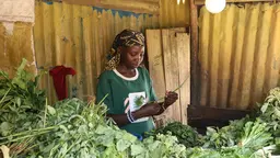 A woman behind a counter arranges her vegetable produce