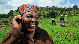 A farmer standing in a field holds a mobile phone to her ear 