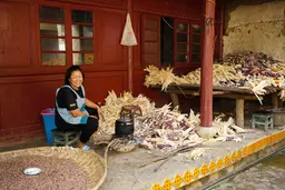A woman surrounded by maize