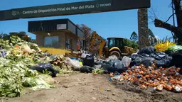 Rubbish and black bin bags are strewn around 