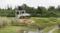 A solar-powered building alongside wetland
