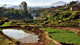 An irrigation pond.