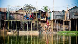 Stilt houses tower above water.