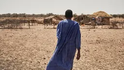 Man, wearing a blue tunic, stands with his back to the camera and looks at huts in the background.