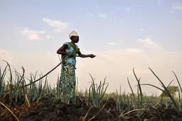 Woman waters field with a hose.