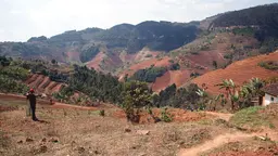 A person standing looking at steep hillsides with terraced fields.