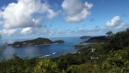 View of the coast, with a small island surrounded by water, seen from some foliage