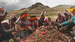 A group of people gather around a pile of potatoes with mountains as a backdrop 