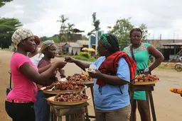 Women buying bushmeat at a food stall.
