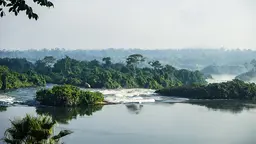 Nature landscape of a forest and a lake.
