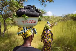 Line of women walking through a field. One carries a basket on her head.