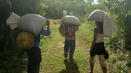 Three people walking and carrying bags on their backs.