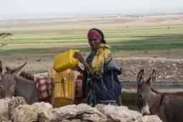 Woman with jerrycans and two donkeys.