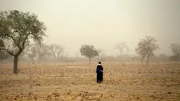 Woman walks in the distance on barren, drought-ridden soil