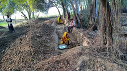 Woman digging a hole in the forest
