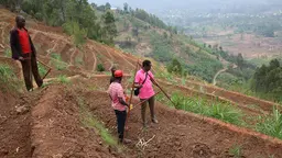 Three farmers plan their crops on a steep hillside 