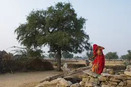 Woman collects water from a well