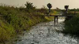 Two people carrying bags on their head walk through a bridge over a river