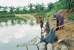 Two women throwing fishing nets at a lake 