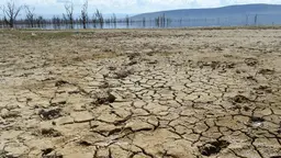 Landscape of cracked earth