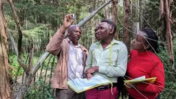 People in a forest looking at trees