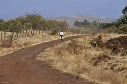 Arid landscape in the Mount Kenya region 