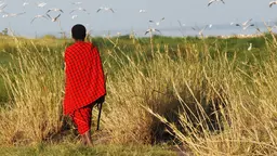 Local scout looking over a savanna landscape