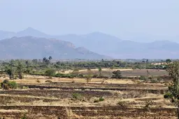 Arid landscape with mountains in the background