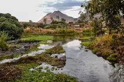 Nature landscape of a spring with ducks, and mountains in the background