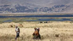 Two people walking in a rural landscape