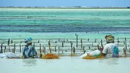 Two women sit surrounded by water facing the ocean