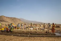 Groups of people and cattle taking and drinking water from a well