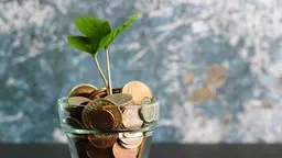 A glass full of coins, with a plant sprouting out of the top