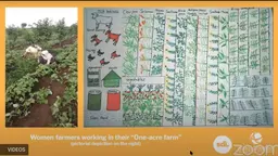 A photo and a plan of a small plot.