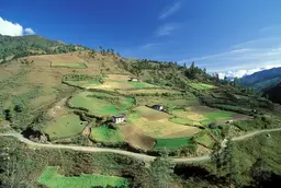 Landscape of terrace fields and homes.